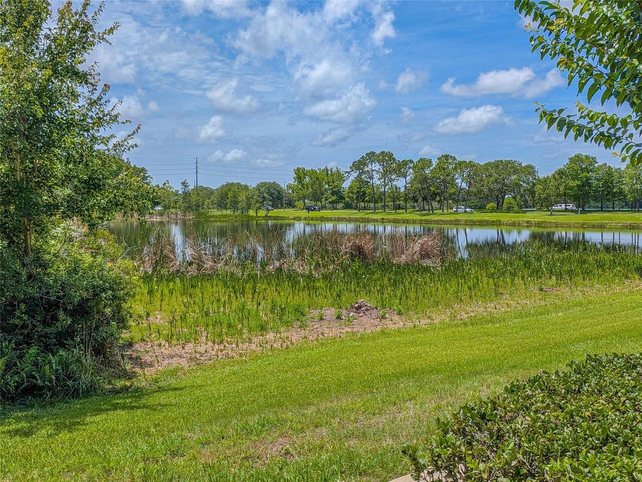 Listing Photo 61