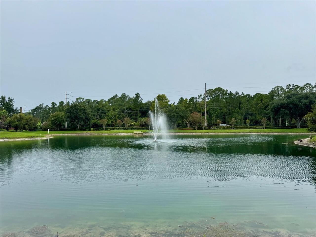 Listing Photo 24