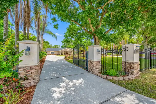 Tampa Real Estate
