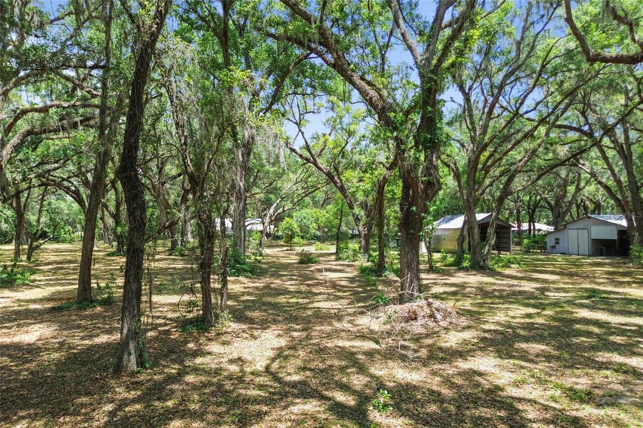 Listing Photo 67