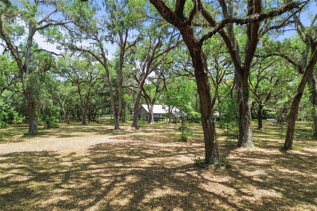 Listing Photo 69