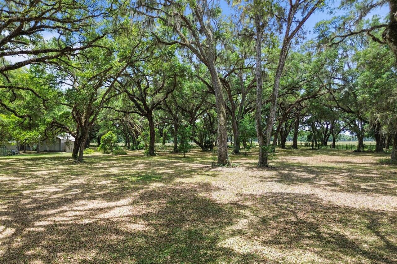 Listing Photo 72