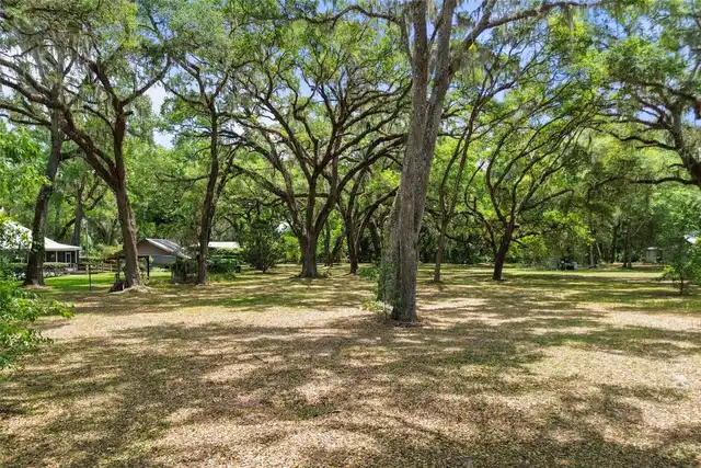 Listing Photo 67