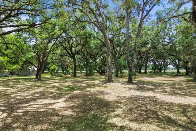 Listing Photo 69