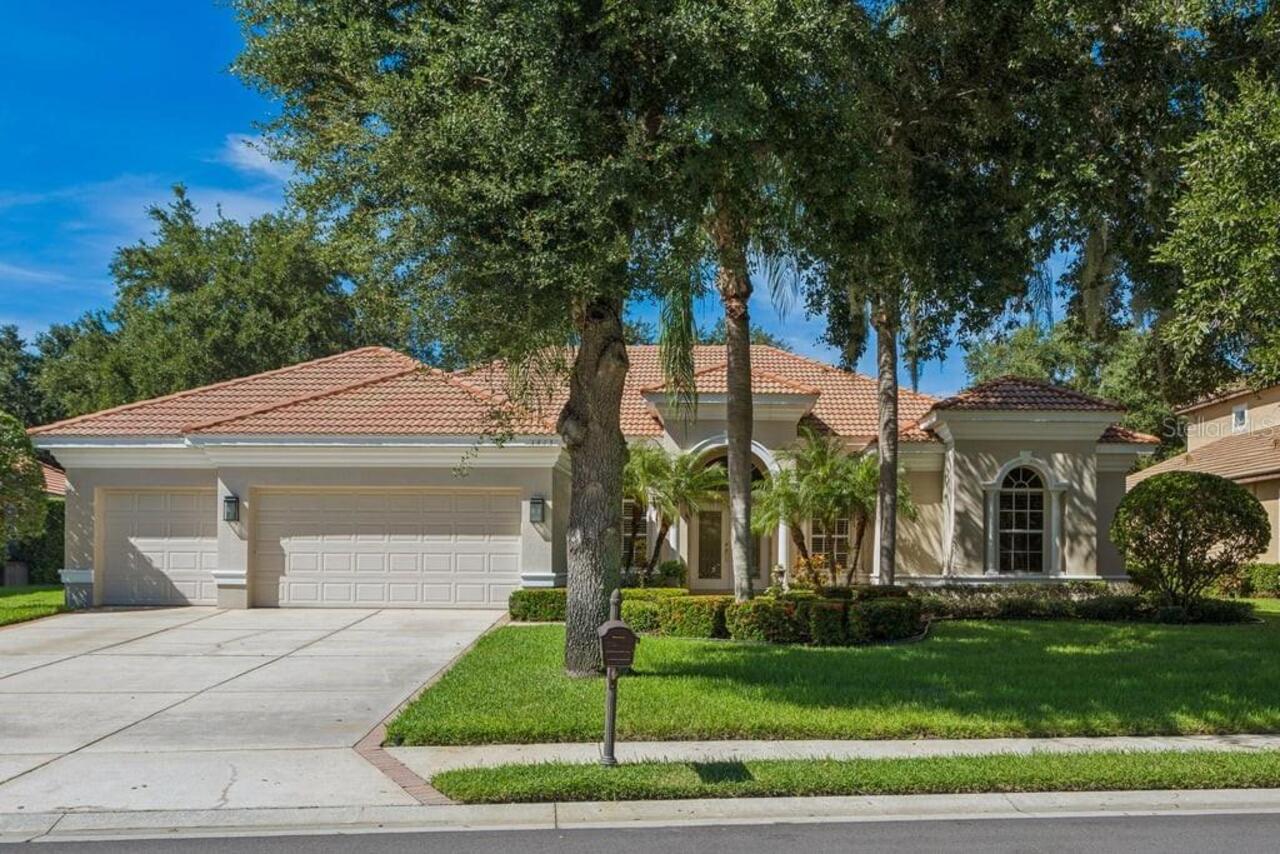 New Port Richey Real Estate