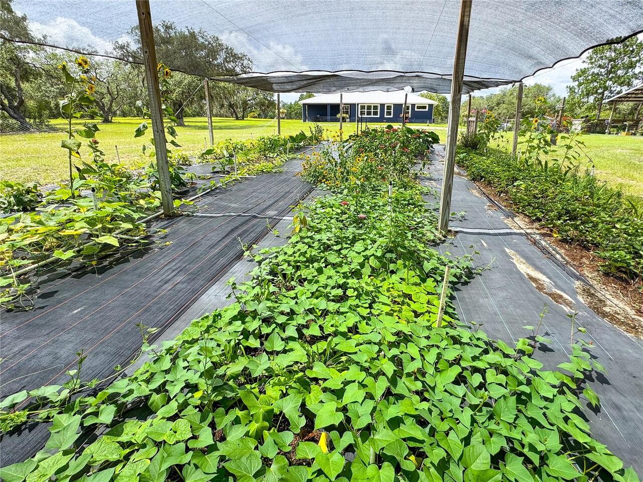 Listing Photo 92