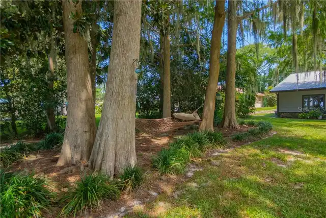 Listing Photo 56