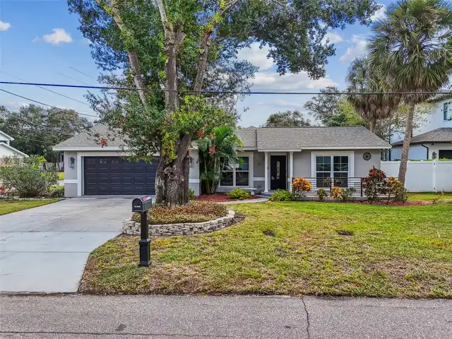 Tampa Real Estate