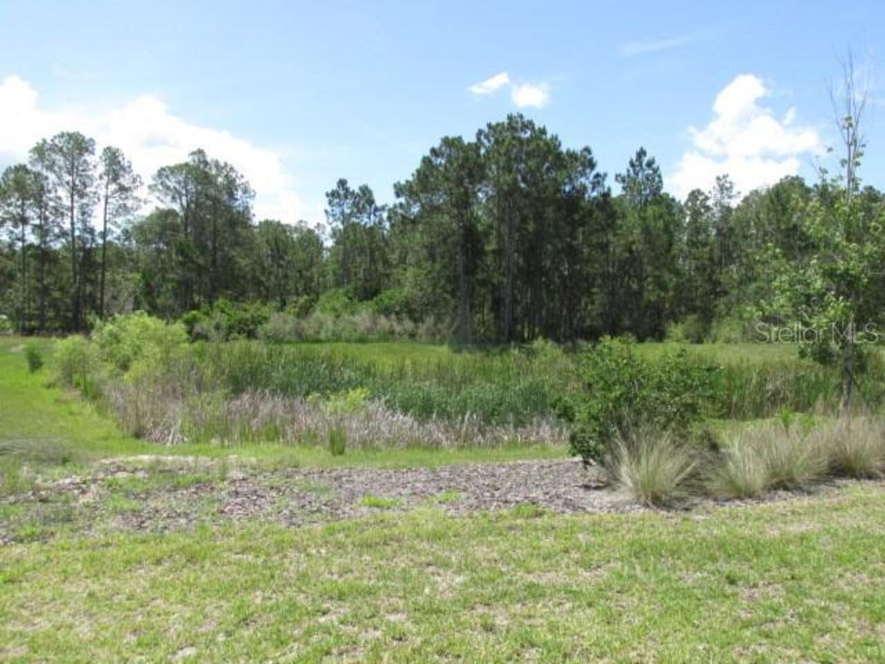 Listing Photo 41