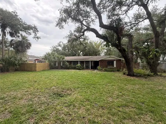 Tampa Real Estate
