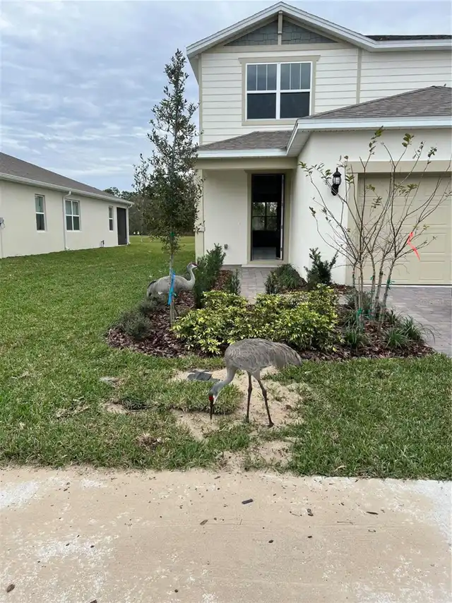 Listing Photo 47