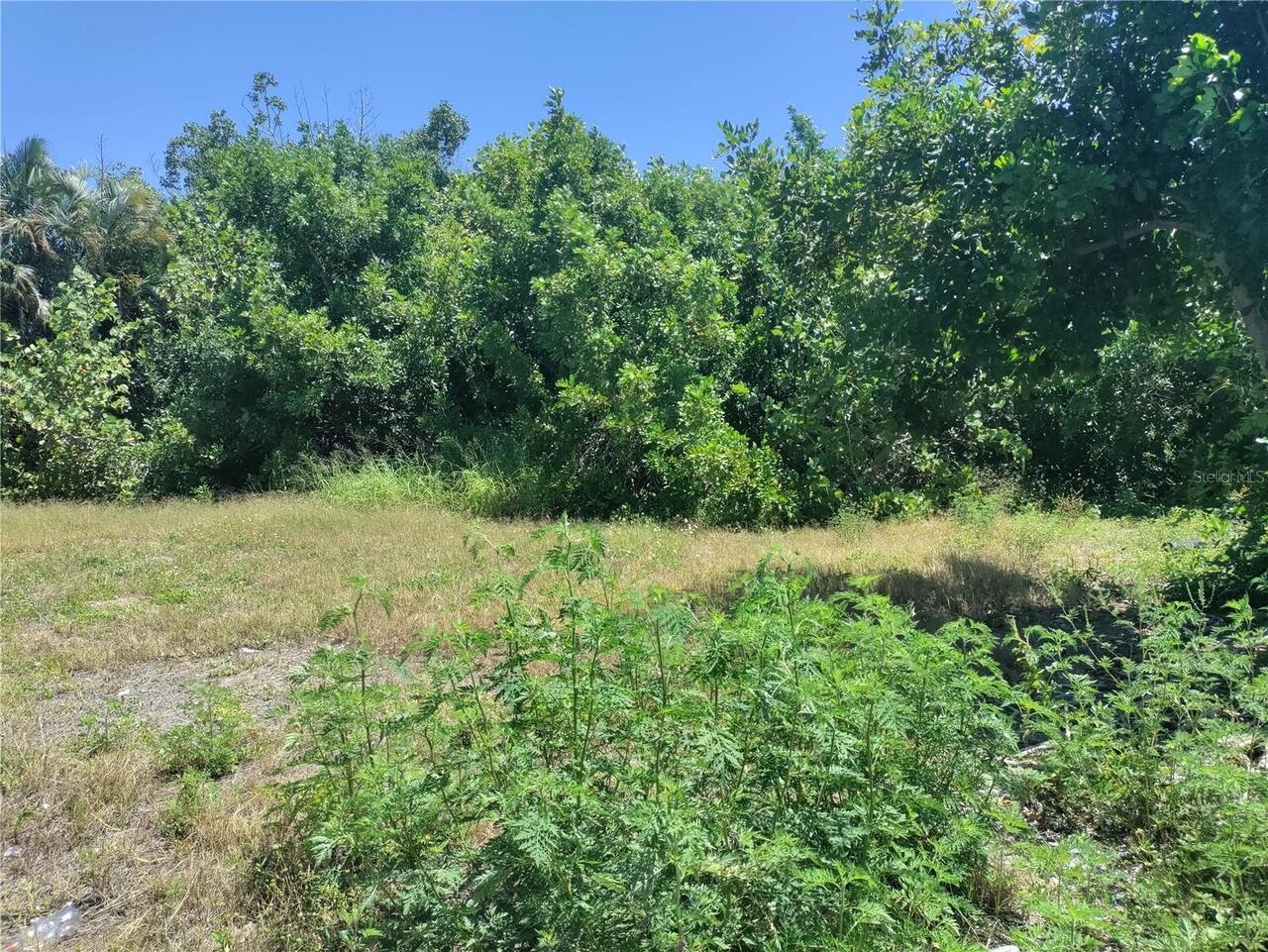 Listing Photo 6