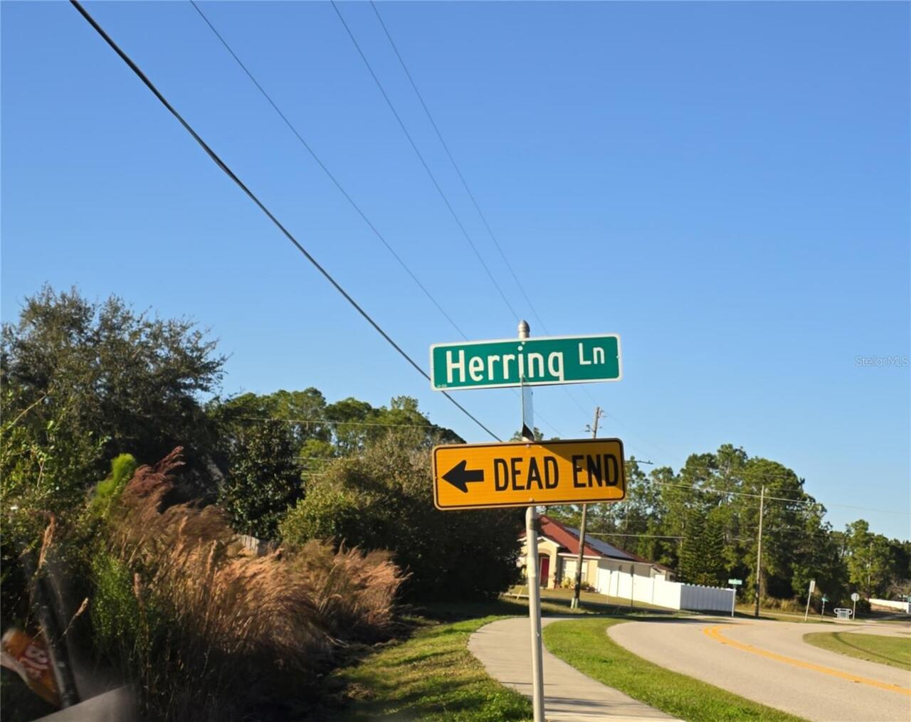 View Listing
