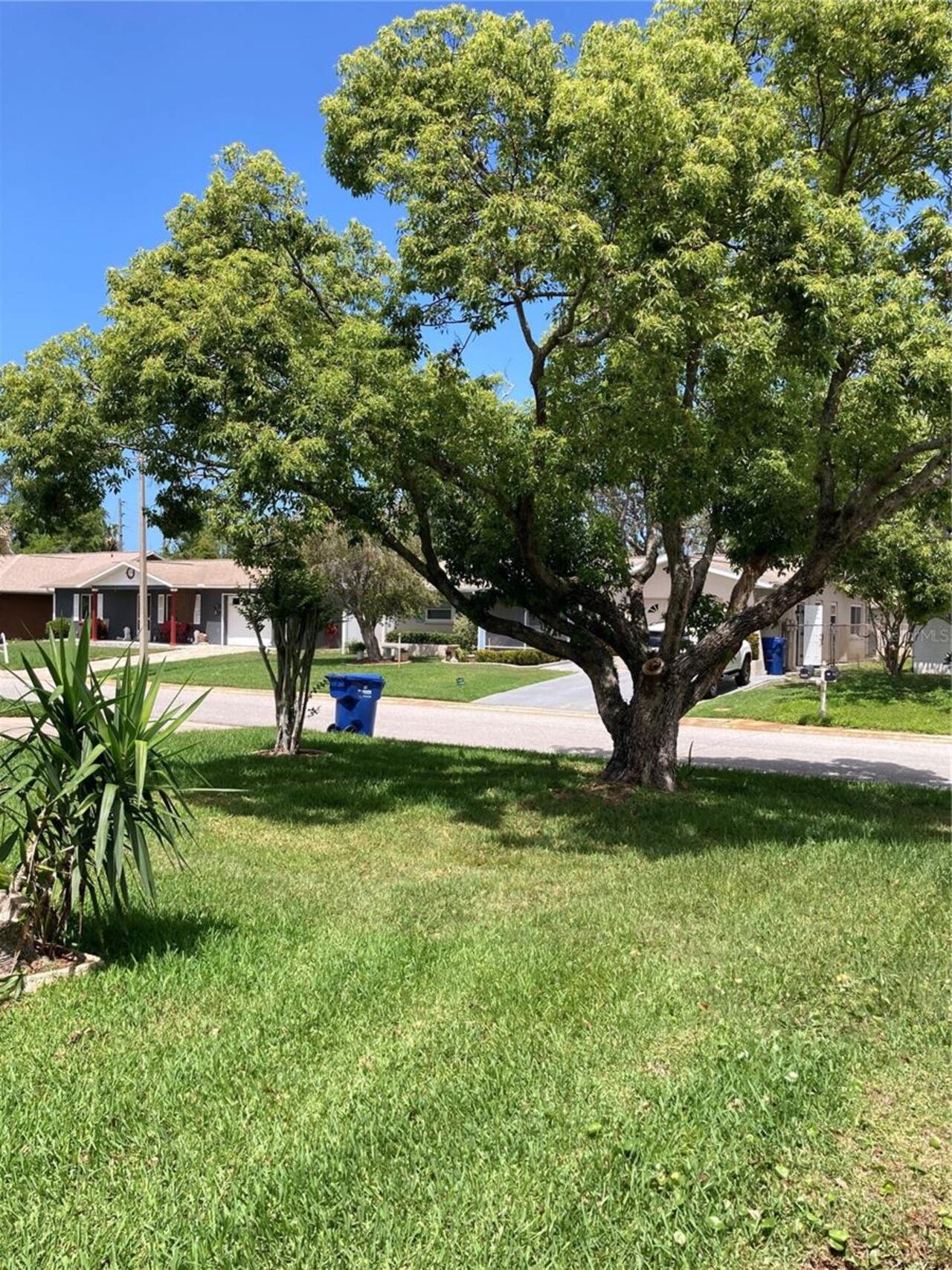 Listing Photo 11