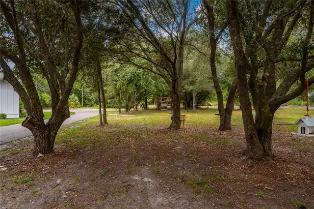 Listing Photo 57