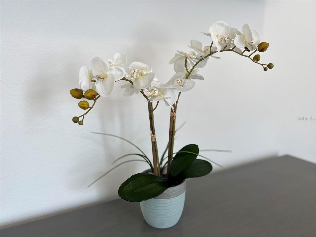 Listing Photo 50