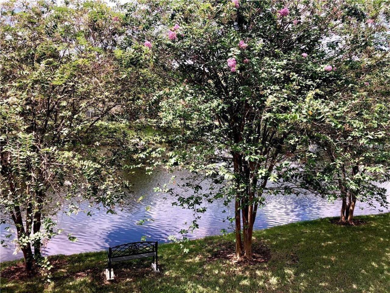 Listing Photo 16