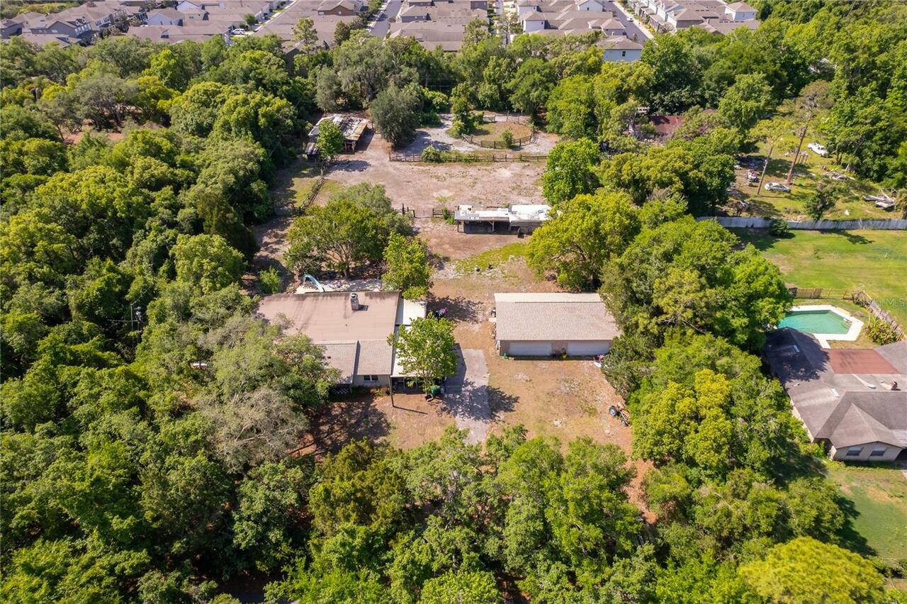 Winter Springs Real Estate