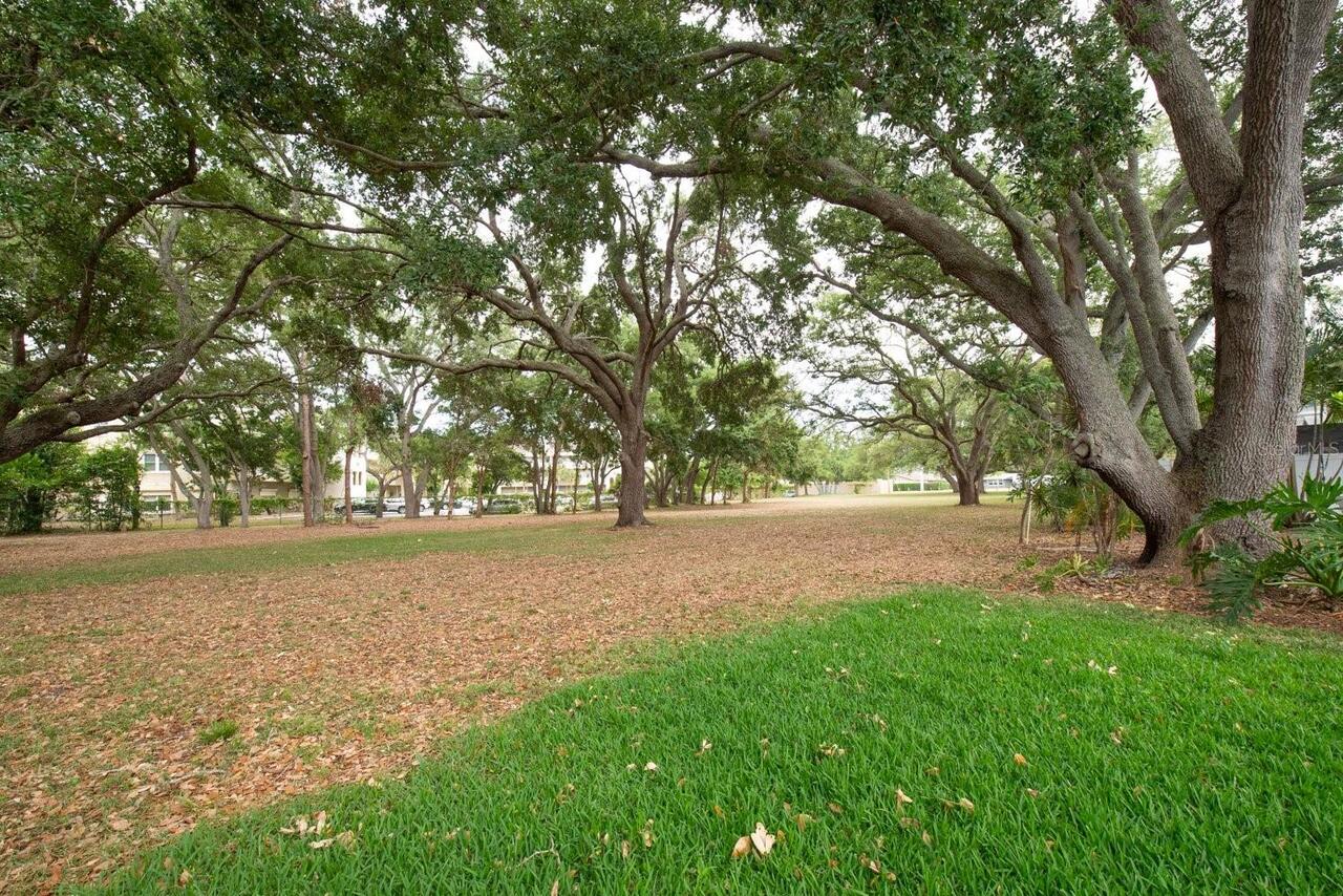 Listing Photo 39