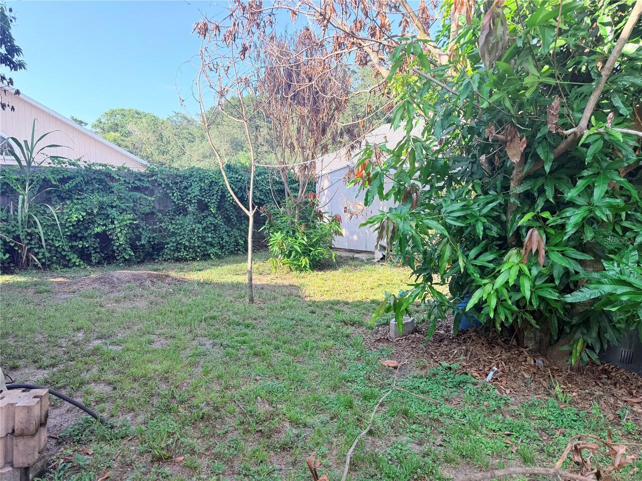Listing Photo 24