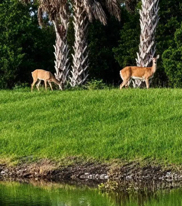 Listing Photo 72
