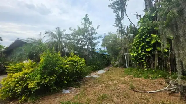 Listing Photo 19