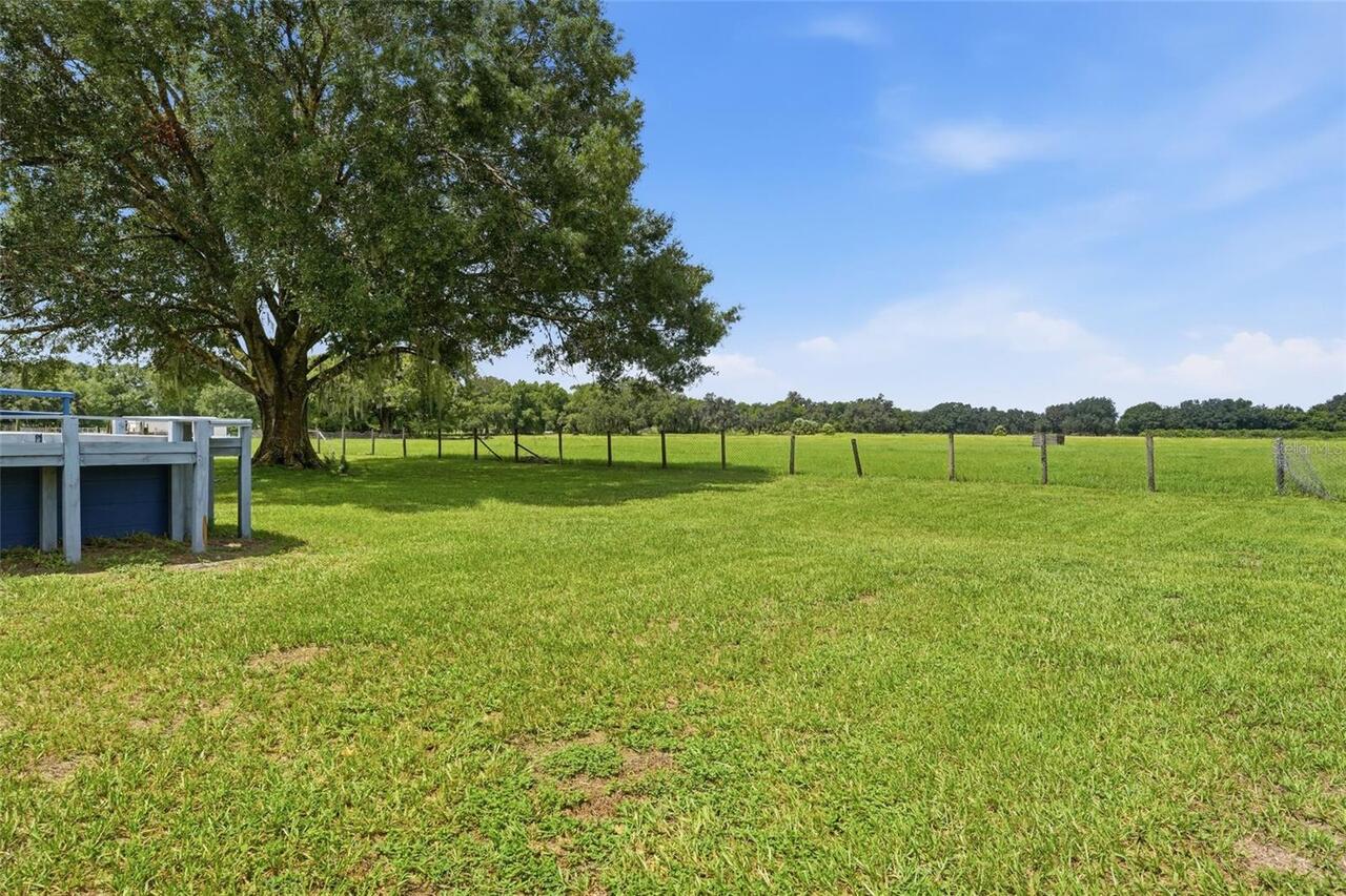 Listing Photo 46