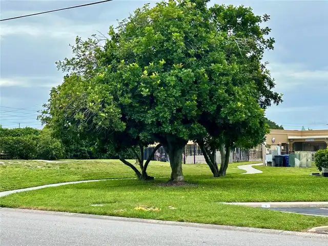 Listing Photo 32