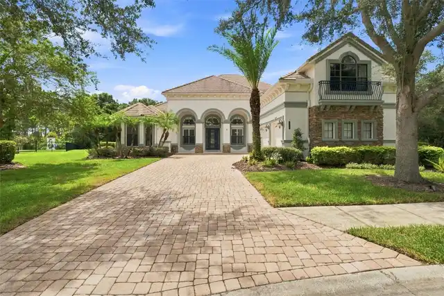 Tampa Real Estate
