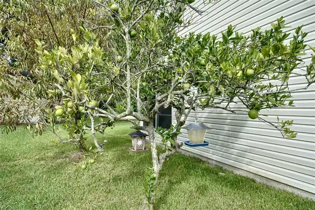 Listing Photo 21