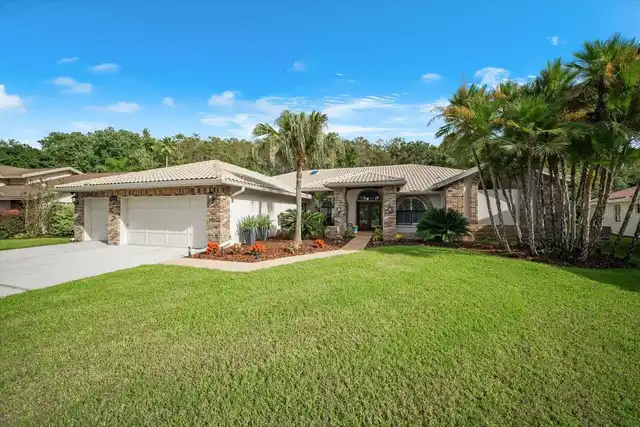 Palm Harbor Real Estate