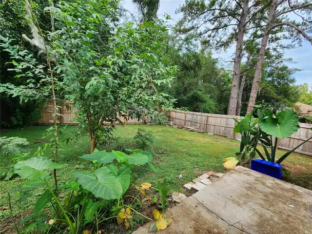 Listing Photo 41