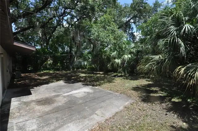 Listing Photo 19