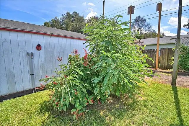 Listing Photo 54