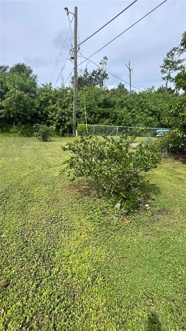 Listing Photo 25