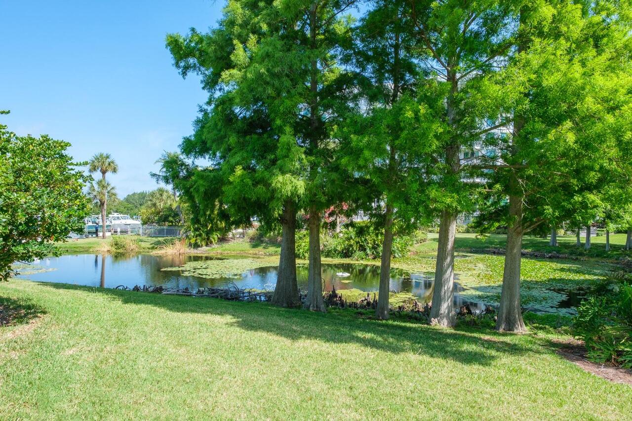 Listing Photo 61