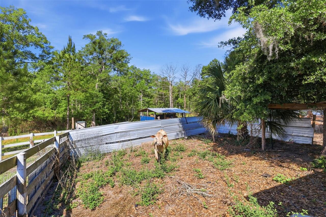 Listing Photo 29