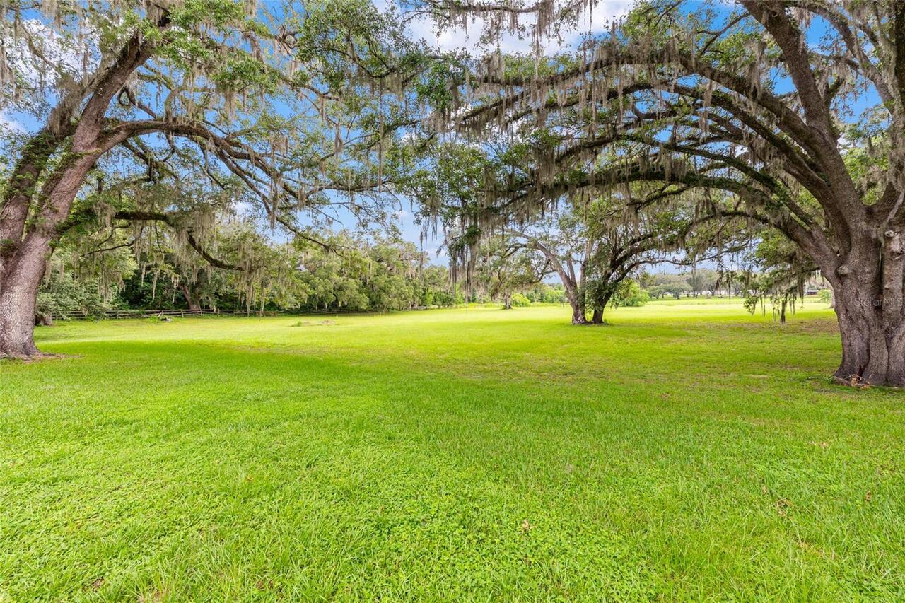 Listing Photo 75