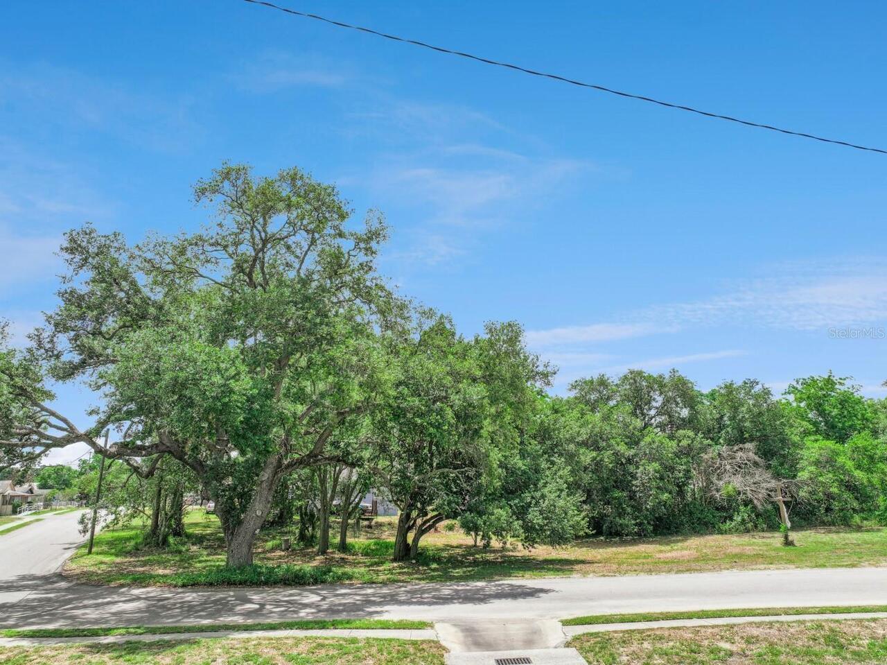 Listing Photo 6