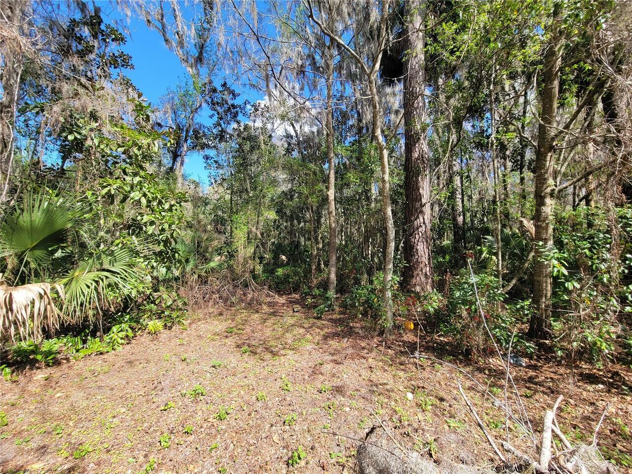 Listing Photo 29