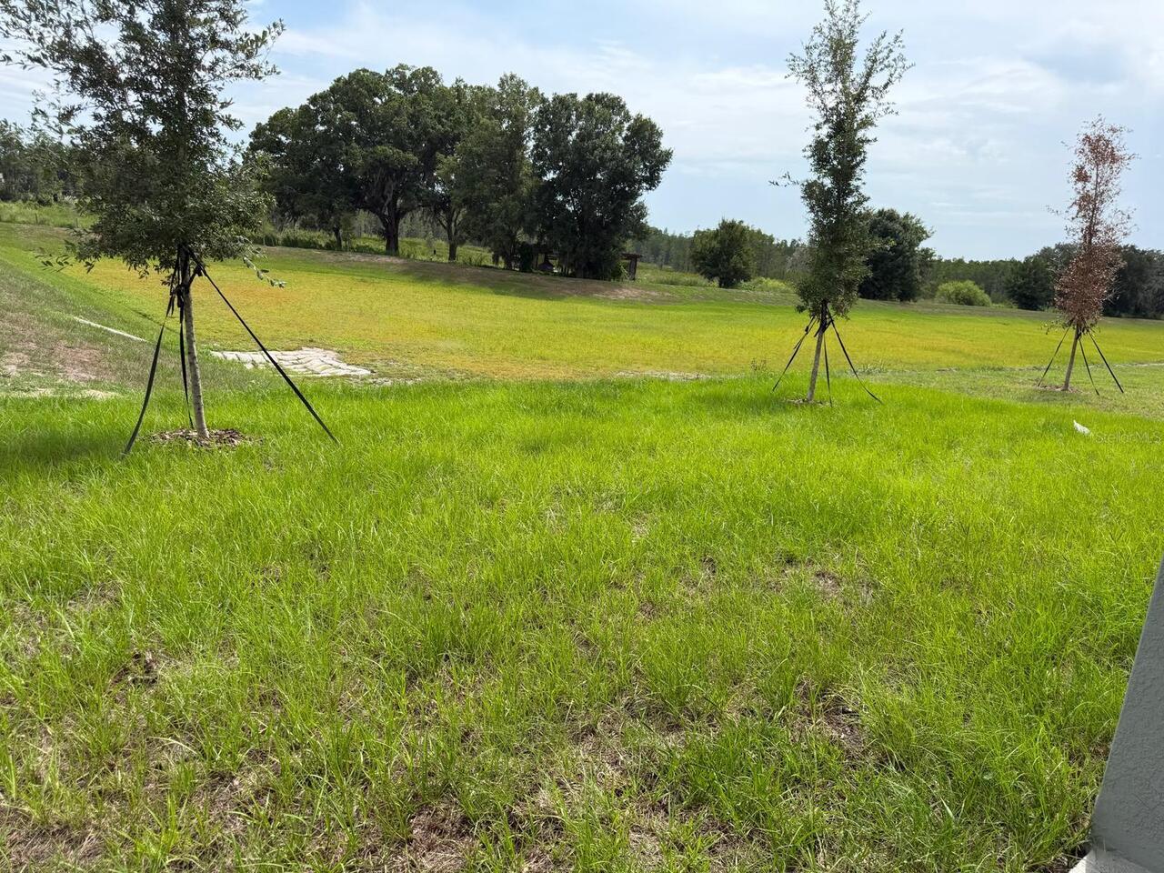 Listing Photo 32