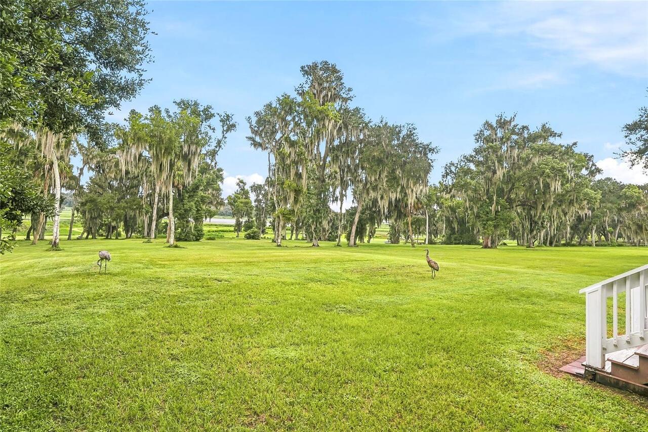 Listing Photo 58