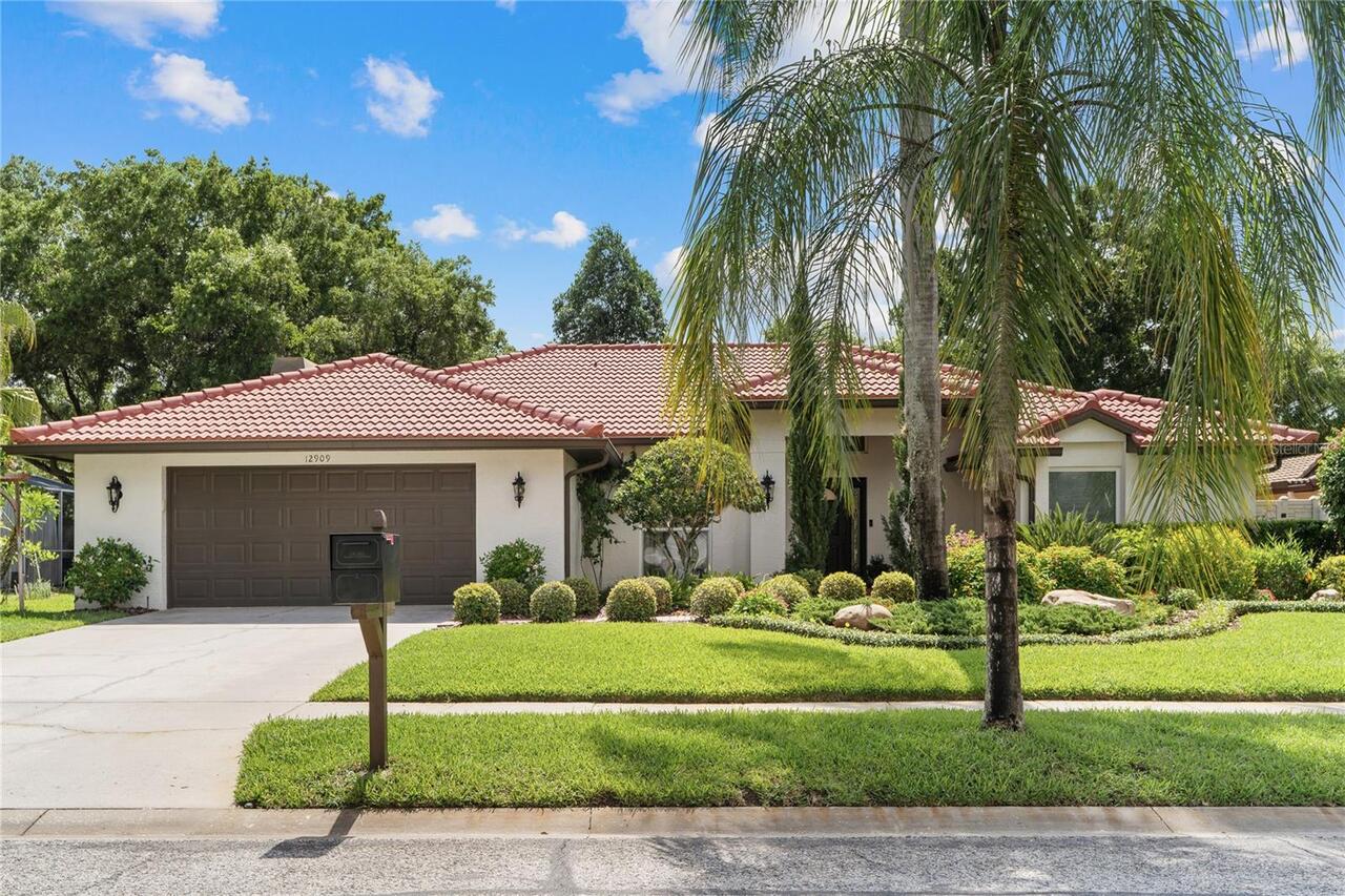 Tampa Real Estate