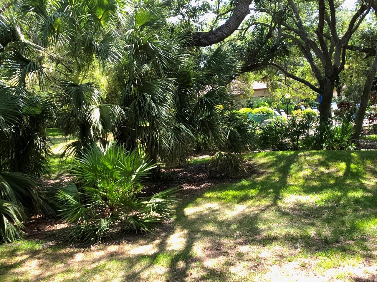 Listing Photo 51