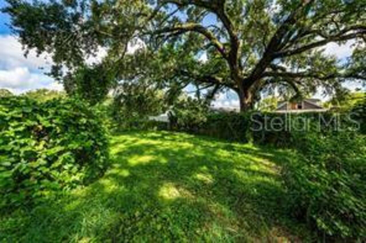 Listing Photo 18