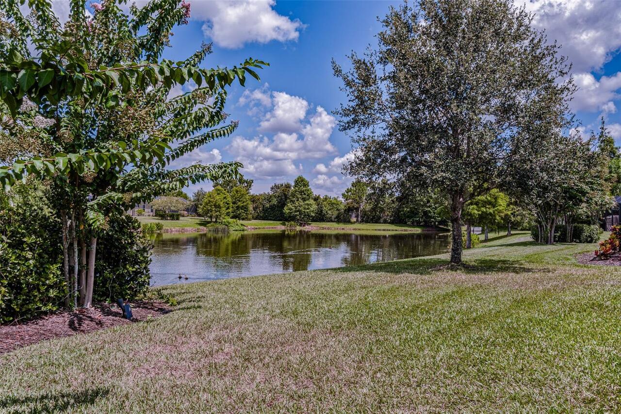 Listing Photo 29