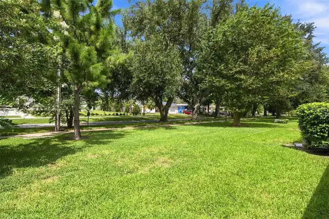 Listing Photo 54