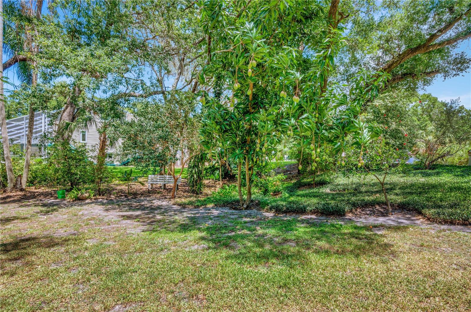 Listing Photo 44