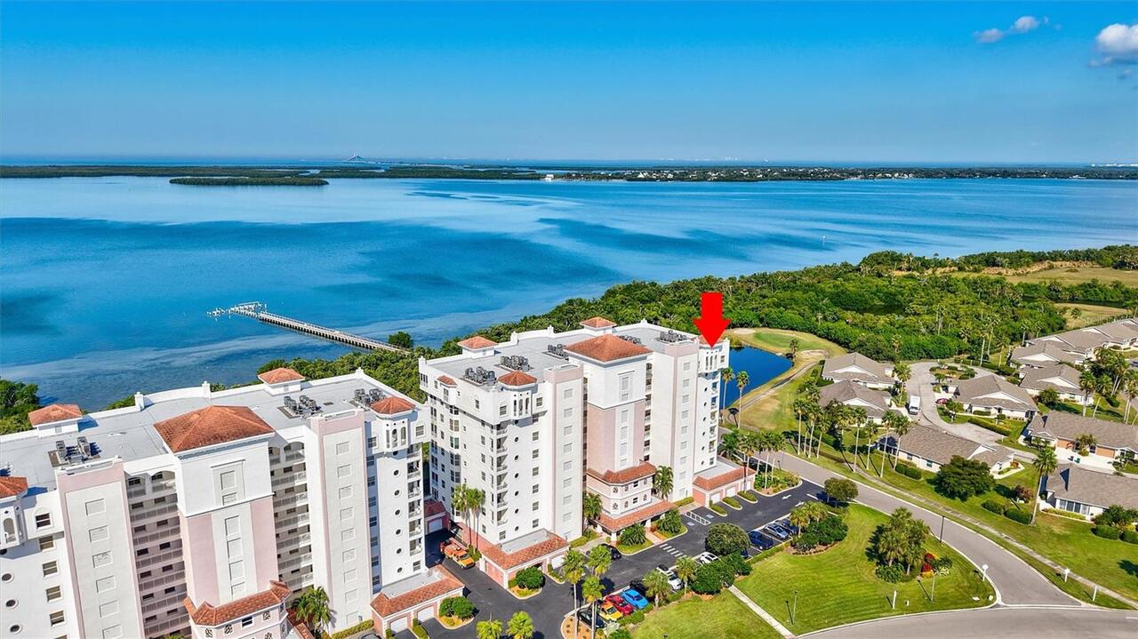 Palmetto Real Estate