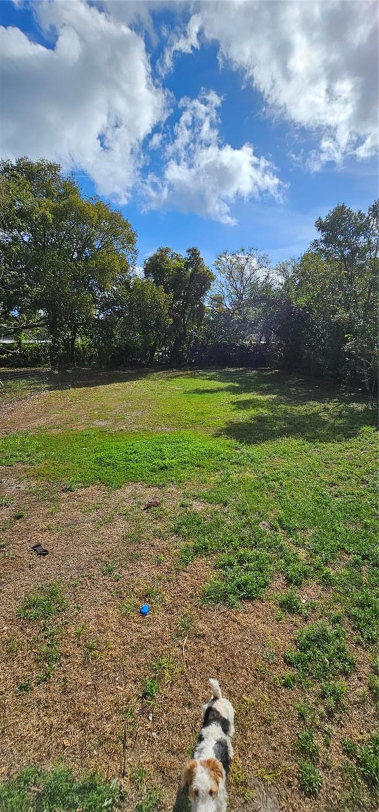 Listing Photo 10